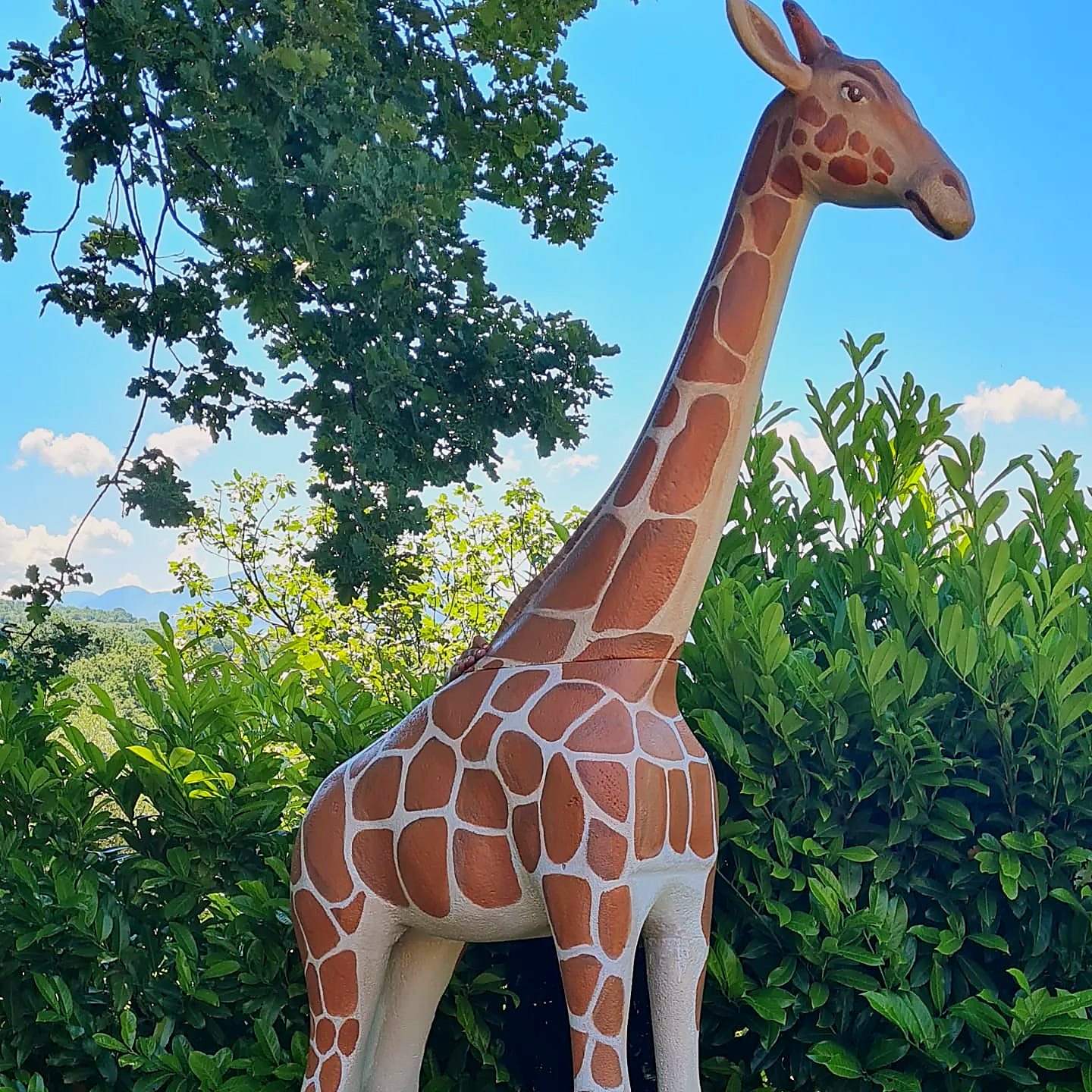 Giraffa a grandezza reale scolpita e dipinta a mano